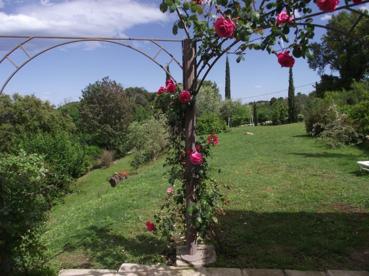 Soleil Et Farniente Apartment Cervione Luaran gambar